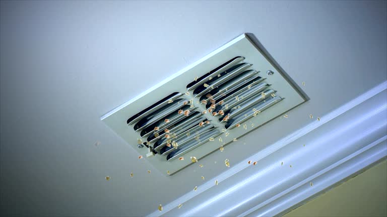Best HVAC System Cleaning  in Algonquin, IL