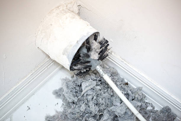 Best HVAC Air Duct Cleaning  in Algonquin, IL